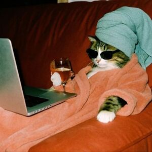 Let's talk about USPS tracking delays